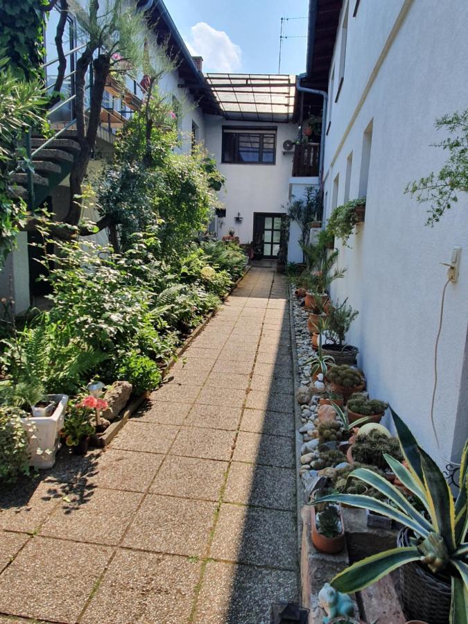 Appartement Roiss Podersdorf am See Eksteriør bilde